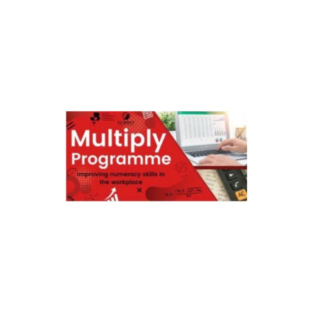 Improving numeracy skills in the working place with Multiply Programme