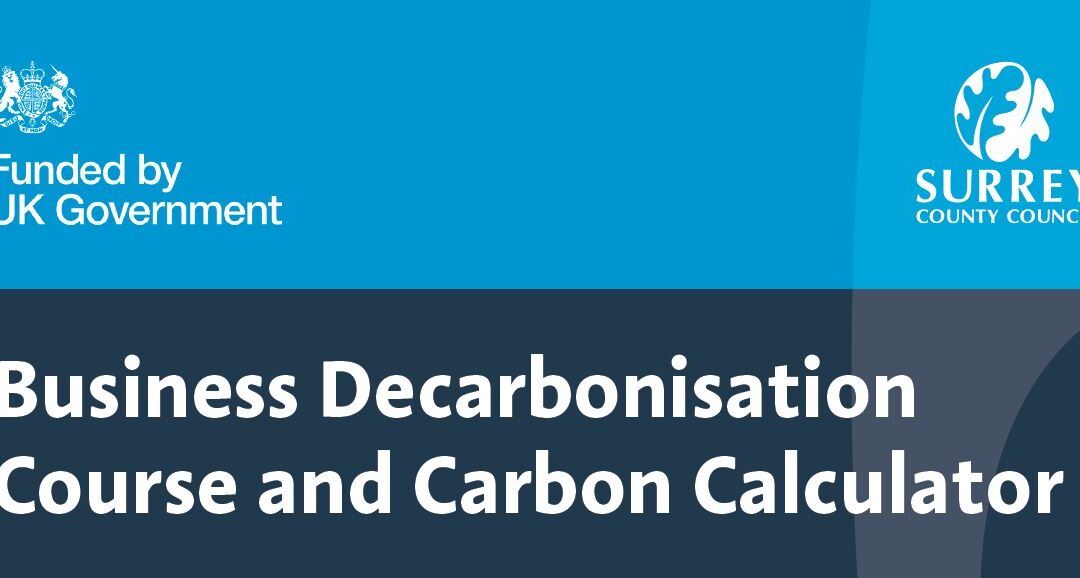 Free business decarbonisation course