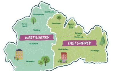 A stronger future for Surrey