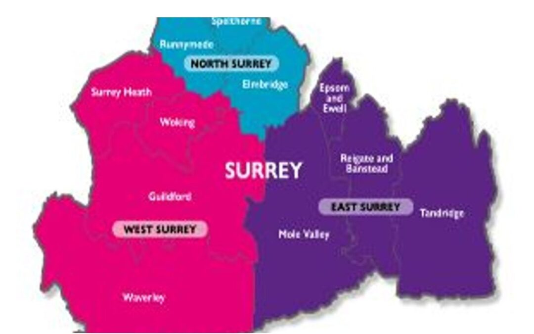 Local Government Reorganisation: Online Business Engagement Session