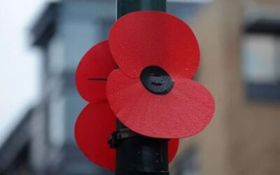 Sponsor a Poppy with Ashford Wide for £10