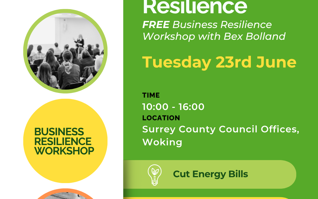 Save Money While Building Business Resilience – Free Workshop in Woking